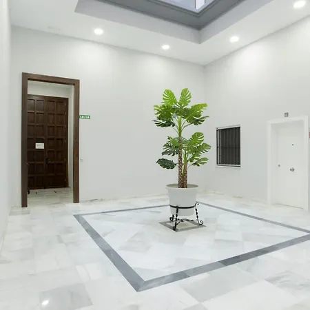 Apartamento Centro Deluxe Cadiz Exterior photo
